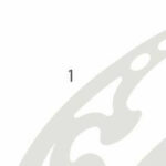 فربنش كيرف شفاف 3 قطع